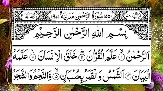 Surah rahman  most beautiful full with arabic  سورہ رحمٰن55  edi 0270 [upl. by Corby]