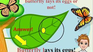 What is Oviparous and Viviparous [upl. by Eanel]