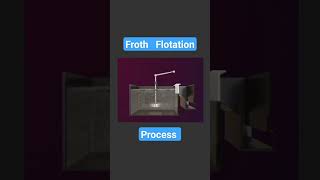 Froth Flotation process  class 12 chemistry  metallurgy  vk chemistry lab [upl. by Brinkema]