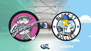 Shenanigans v Blake St Bullies  Div 3  15th October  IceHQ Rec League ice hockey [upl. by Rosenberg]