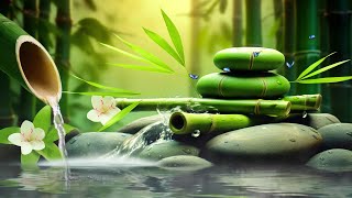 Relaxing Sleep Music  Insomnia Stress Relief Relax Sleep Spa amp Meditation Music Heart Healing [upl. by Agripina]