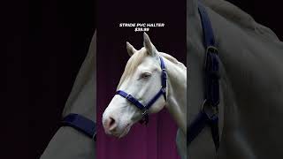 Upgrade your horse’s gear with Stride’s range [upl. by Sidoeht]