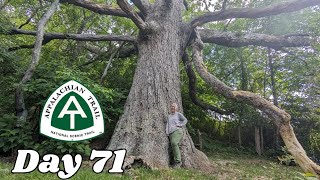 Day 71  Keffer Oak and The Heat Begins  2024 Appalachian Trail Thru Hike [upl. by Ecirbaf]