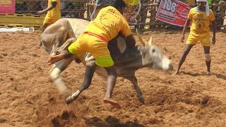 jallikattu 2019 HD Palamedu Part06 [upl. by Ennoid38]