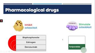 Pharmacology Osteoporosis Part 2 [upl. by Anadal]