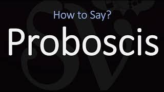 How to Pronounce Proboscis CORRECTLY Meaning amp Pronunciation [upl. by Neelyam]