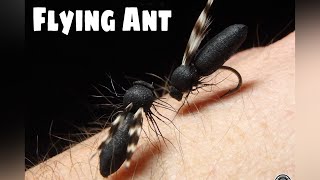 fly tying FOAM FLYING ANT HORMIGA DE ALA por Jorge G [upl. by Koeninger]