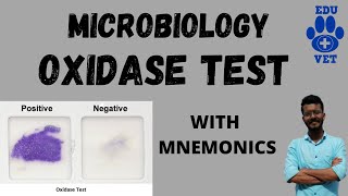 Oxidase TestWith Mnemonics [upl. by Mccully710]