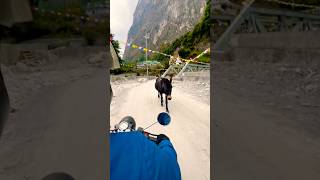 Parka na travel tour viralvideo bridge river music fypシ゚viral trending manang goviral [upl. by Eula]