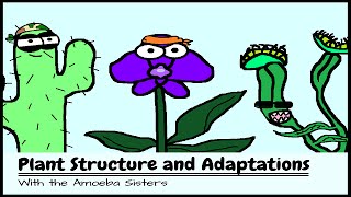 OLD VIDEO Plant Structure and Adaptations [upl. by Chisholm972]