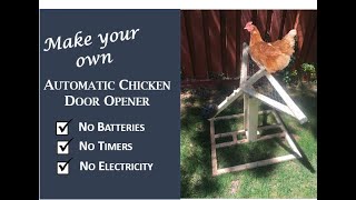 DIY Automatic Chicken Door Opener [upl. by Juliet564]