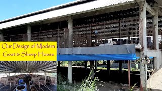 Commercial Goat and Sheep Farm House for Tropical Countries [upl. by Navad]