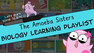 Amoeba Sisters Biology Learning Playlist Introduction [upl. by Nickola]