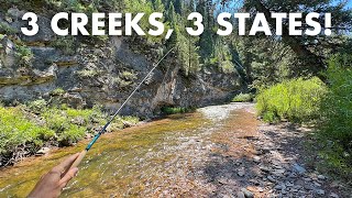 Fishing 3 New Creeks in 3 States for 3 Species Tenkara Fly Fishing [upl. by Ellehcirt]