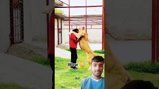 Wow 😯 dog dog doglover animals lion love song music bollywood hindisong bollywoodsongs [upl. by Adranoel]