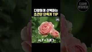 포토샵 선택도구 툴 강좌  선택영역 만들기 삭제하기 amp 단축키 설정 [upl. by Enilekaj]