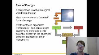 BIOL 1406 Chapter 6 Part 1 Recorded Lecture [upl. by Reimer]