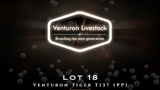 Lot 18 Venturon Tiger T137 PP [upl. by Mas]