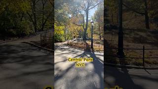 Central Park Fall Day NYC shorts short travel [upl. by Evelina]