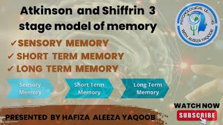 Atkinson And Shiffrin 3 stage model of memoryPsychological Learning with Aleeza Yaqoob [upl. by Marybella]