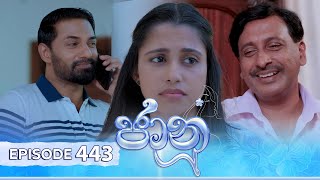 Jaanu  Episode 443  20241105  ITN [upl. by Inajar]