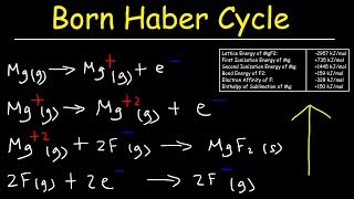 Born Haber Cycle Basic Introduction Lattice Energy Hess Law amp Enthalpy of Formation  Chemistry [upl. by Adirahs]