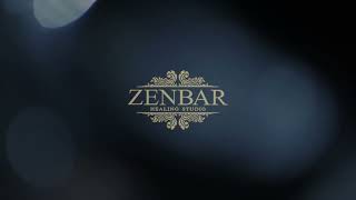 10 second Zenbar short RMT video [upl. by Thorman]