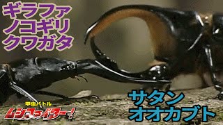 【公式】サタンオオカブト vs ギラファノコギリクワガタ【甲虫バトル ムシファイター！】3 [upl. by Yalcrab500]