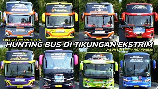 mobil bus telolet quartet bravo Sierra Bumblebee dkk shanum UPJ BS GUVILLI safana Eleganza DLL [upl. by Balfour]