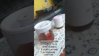 UMIDIFICATORE VAPORIZZATORE CON ACETO DI VINO BIANCO E UN VENTILATORE A SPARARE I VAPORI [upl. by Aihsik]