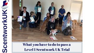 Scentwork L1 Trial [upl. by Assiroc]