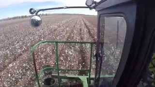 John Deere 9960 Second pick cotton [upl. by Ellasal]