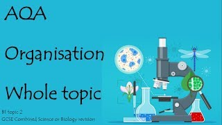 The whole of ORGANISATION AQA 91 GCSE Biology or combined science for paper 1 [upl. by Alexio]