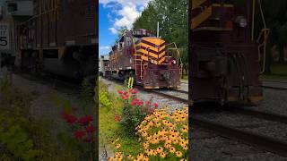 Great Smoky Mountain Railroad Tuckasegee River Excursion [upl. by Haianeb]