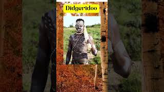 Aboriginal History The Didgeridoo [upl. by Philpot]