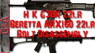 HampK G36K Beretta ARX160 22lr Bolt Dis Assembly [upl. by Sueddaht]