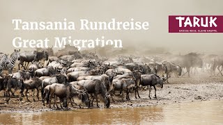 TansaniaReise Great Migration  Großwildwanderung Kultur Pur amp entspannen auf Sansibar  Kurzfilm [upl. by Ilsa146]