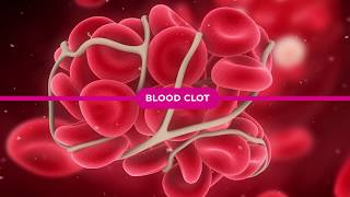 Coagulation Cascade Explained [upl. by Arihk]