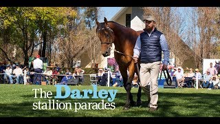 The Darley Australia stallion parades 2017 [upl. by Barbara]