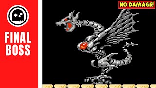 Astyanax NES  Final Boss  No Damage [upl. by Naahsar720]