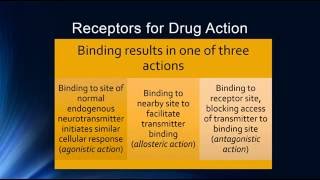 Psychopharmacology amp Pharmacodynamics [upl. by Ssor]