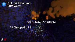 refxcom Nexus²  EDM Voices XP Demo [upl. by Nivaj]