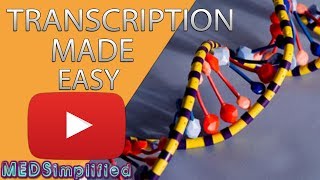 Transcription Made Easy From DNA to RNA 2019 [upl. by Anissa]