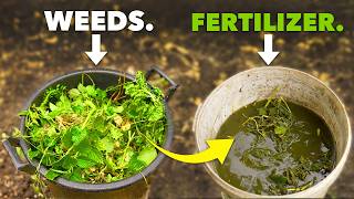 Better than Miracle Gro Make Fertilizer from Weeds [upl. by Annavoj]