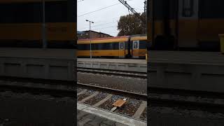 RJ 162 and ČD 362 at Olomouc Hln [upl. by Godden]