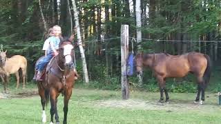 Backus Foothills Horsecamp [upl. by Holmann658]