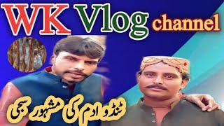 Tando Adam Ki Femus Sajji  Sajji Vlog [upl. by Bettye]