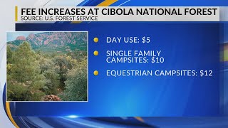 Cibola National Forest raising some recreation fees [upl. by Ahsienat829]