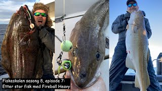 Fiskeskolen sesong 8 episode 7 Etter stor fisk med Fireball Heavy [upl. by Eirellam]