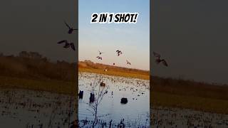 I SHOT 2 with 1 SHELL🦆 arkansas duckhunt [upl. by Soble656]